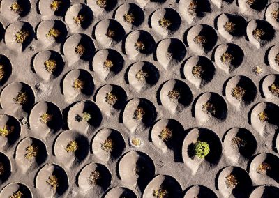 Drone School Travel, viticoltura nella valle della Geria, Lanzarote